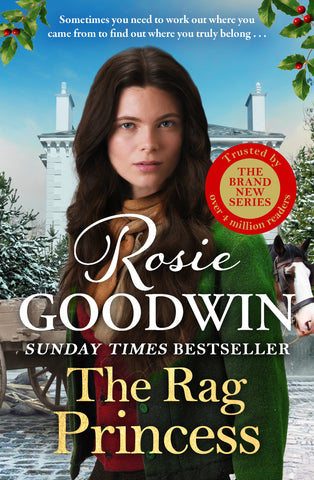 **Only 5 Packs Left** Rosie Goodwin Library Display Packs