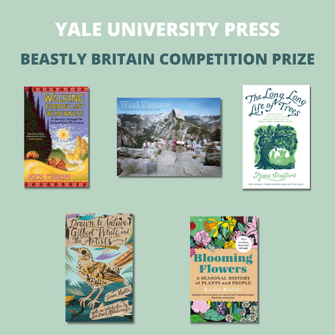 (SOLD OUT) A Beastly Britain Display Pack Offer