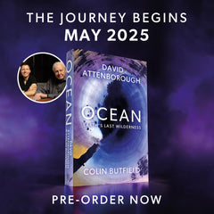 *RESTOCKED - 5 left* OCEAN by David Attenborough and Colin Butfield – Display pack and competition (book included)
